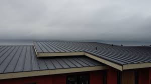 Best Roof Waterproofing  in Amery, WI